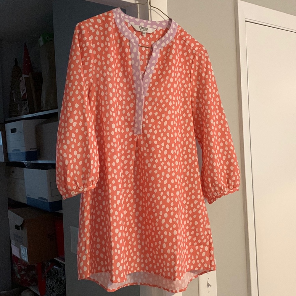 EUC Crosby by Mollie Burch tunic